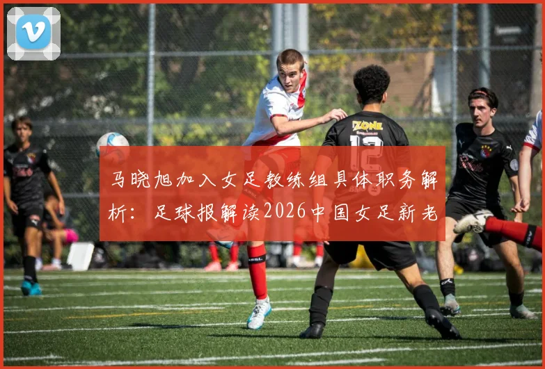 马晓旭加入女足教练组具体职务解析：足球报解读2026中国女足新老交替名单预测与未来规划